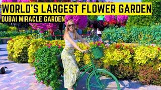 LARGEST FLOWER GARDEN IN THE WORLD! Dubai Miracle Gardens:The most underrated attraction in Dubai 