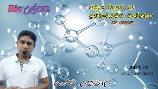 Molecular biology I Part 02