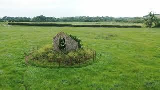 WINTERBORNE FARRINGDON  -  Site of Medieval village  -  2023 June 9