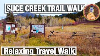 TRAIL WALK - Montana Autumn Foliage Colors - Relaxed Travel Virtual Hiking Trail - City Walks