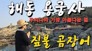 해동 용궁사 우리나라에서 가장 아름다운 절/기장 짚불곰장어/부산 가볼만한곳