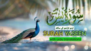 Surah Yasin (Yaseen) With Translation ️ - Episode 1 - Beautiful Urdu Tarjuma - Altash Production