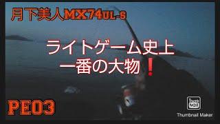 ライトゲーム史上一番の大物️〖サーフメバリング〗