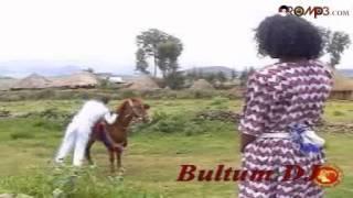 Taju Ahmed - Bokkaan roobee (Oromo Music)