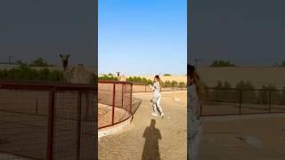 Dubai le pets #zoo