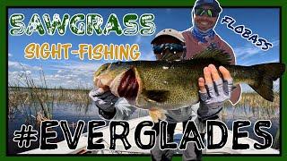 Sight-Fishing Sawgrass (Everglades) with #FloBass - 2/14/24