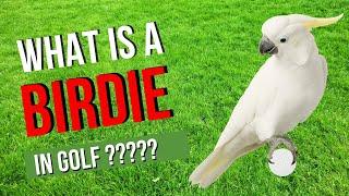 What Is a Birdie in Golf? Explained Simply