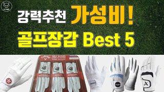 [도그골프] 강력추천 가성비 골프장갑 추천 Best 5! 판매1위 골프장갑은??