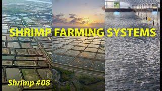 INTENSIFICATION OF SHRIMP FARMING & CARRYING CAPACITY #08 | #FISH