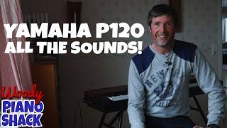 Yamaha P120 Digital Piano - All of the sounds demonstrated!