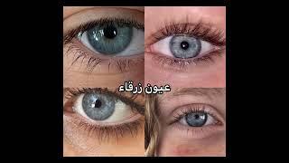 8 جوان 2024