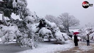 Schlimmster Schneesturm seit 100 Jahren legt Seoul lahm