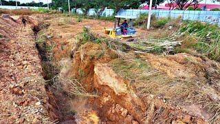 Perfect Technical!!! To Bury & Clearing Land - D41P Dozer KOMAT'SU Push The Forest Into The Box Pit