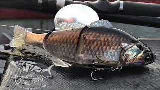 Jackall Gantarel Underwater SwimBait