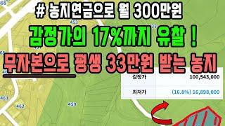 (입찰중) 감정가의 17%까지 떨어진 무자본으로 평생 33만원 받는 농지! /농지연금으로 월 300  방법 /농업인 되는 방법/토지경매 /농지연금 월 600만원 받는 노하우 대공개