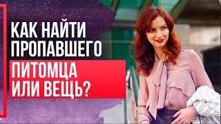 Как найти пропавшую кошку, животное? Метод Сильва. Как найти пропавшую вещь?