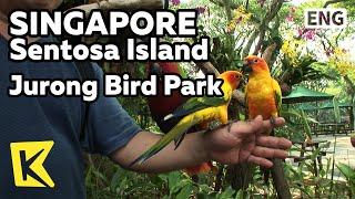 【K】Singapore Travel-Singaopore[싱가포르 여행-싱가포르]거대한 새장, 주롱 새 공원/Jurong Bird Park/Performance