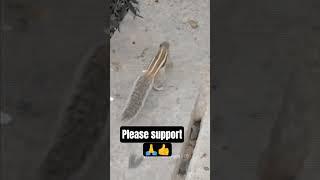 Monu #Kumar #carpenter#