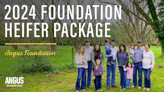 2024 Angus Foundation Heifer Package | INTRODUCTION