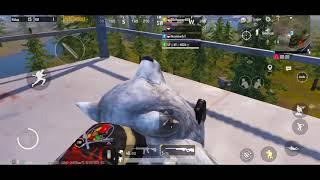 live streaming pubg 30 menit livik, erengle runick power, pyload