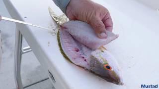 How to Clean Yellowtail Snapper with Capt. Jason Gabriel | Mustad Fishing