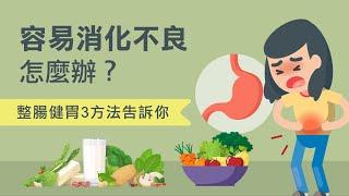 消化不良怎麼辦？釐清3大觀念找回健康腸胃！