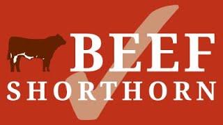 Beef Shorthorn Judging Highlights Royal Highland Show 22nd June 2023