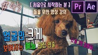 #45 예능프로처럼 얼굴만 크게 보여지는 효과! [프리미어프로][애프터이펙트][주인씨]