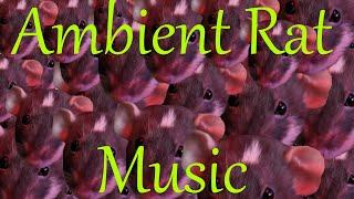 Ambient Rat Music - A Song by The Rat  Man Bob