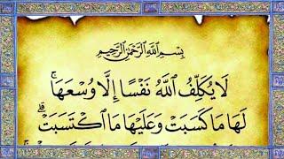 Surah Baqarah Last Ayah | لا يکلف الله | Alafasy Daily Quran