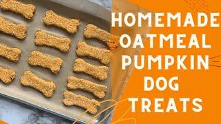 Easy Homemade Dog Treats | Oatmeal and Pumpkin Baked Dog Treats