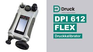 DPI 612 FLEX Druckkalibrator