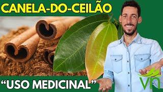 CANELA-VERDADEIRA ou CANELA-DO-CEILÃO (Cinnamomum zeylanicum): propriedades medicinais, como usar...