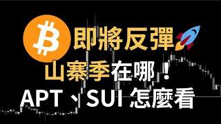 比特幣再次暴漲！山寨季還在嗎？APT、SUI 還能進場？ETH、AAVE、FIL｜【日日幣選】20241224 (二)