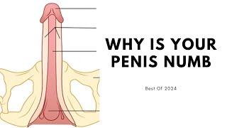 Why Is Your Penis Numb ?