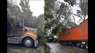 Traffic Updates HKW Presents: Trees Fall On Trucks During Cyclone