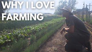 Why I Love Farming | 5 Reasons to start a farm from a farmer