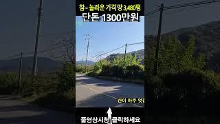 도로 접한 땅 3,480평이 몽땅 1300만원 맞습니다. 싸고 좋은 땅 찾는 분만 영상 보시고 판단하세요!