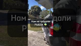Сколько стоит купить аквариум в Австралии? #австралия #аквариум #рыбкидляаквариума