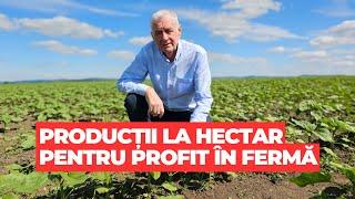 Ferma lui Vasile Balcan - producții pentru profit la hectar prin procesare