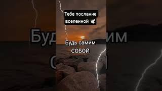 Принимай в комментариях с щедростью, БЛАГО ДАРЯ из любви к СЕБЕ  #любовь #жизнь #силадуха