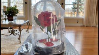 Beauty and The Beast Enchanted Rose Light