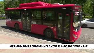 Ограничения работы мигрантов в Хабаровском крае