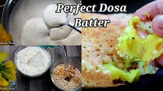 Dosa batter recipe|Masala Dosa recipe in hindi|Secret of restaurant | Masala dosa recipe in Hindi