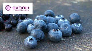 #ExploringEvonik: Powerful Berries | Evonik