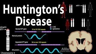 Huntington's Disease, Genetics, Pathology and Symptoms, Animation