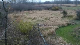 November 8 2018 Michigan My First Crossbow Buck with Ten Point Shadow NXT