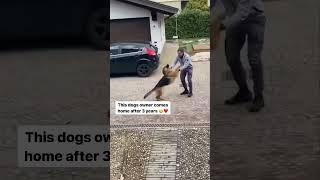 SO TOUCHING || Dog's reaction when his owner comes home after 3 years 