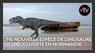 Une nouvelle espèce de dinosaure découverte en Normandie