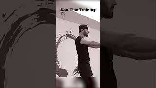 Dan Tian Training